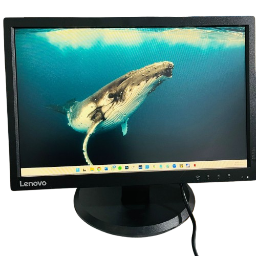 Monitor Lenovo ThinkVision E2054A 19.5"