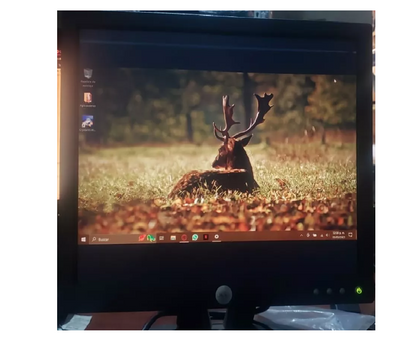 Monitor Dell E173FPf  17 Pulgadas